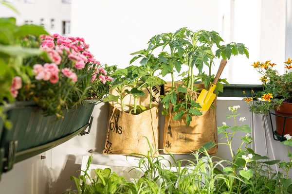 Que faut-il savoir sur les composteurs balcon en toile géotextile ?