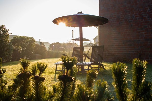 Comment monter un parasol dans votre jardin ?